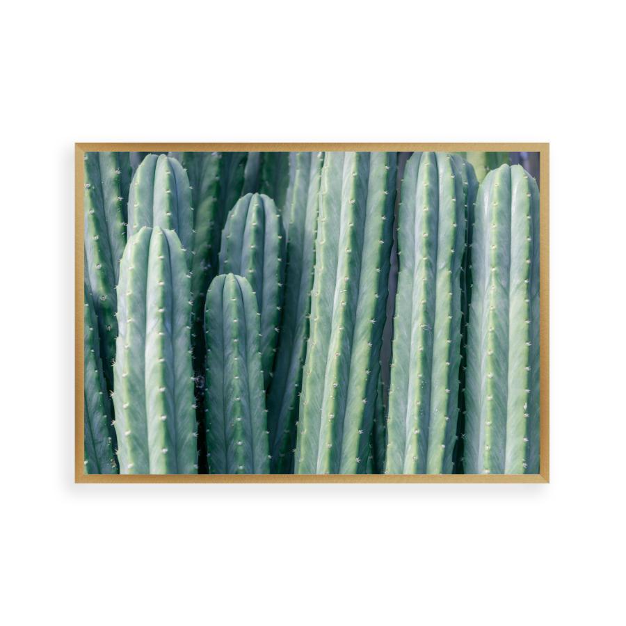 Cactus Print - Blim & Blum