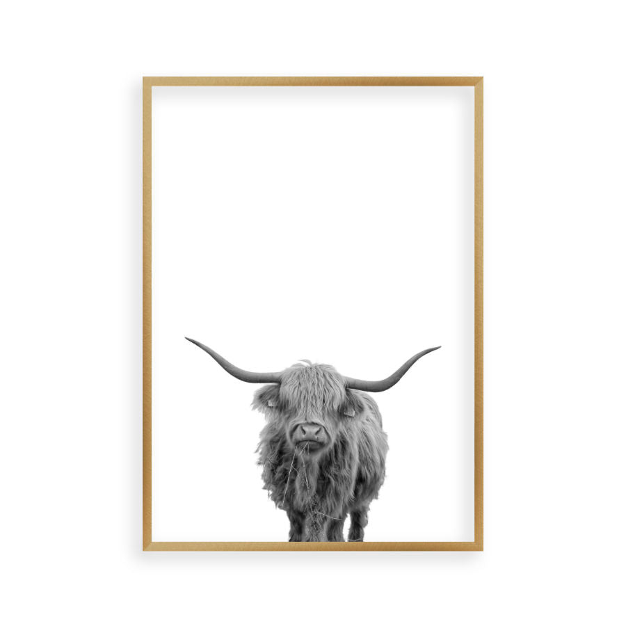 Highland Cow Print