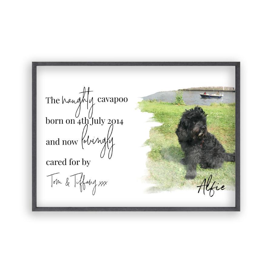 Personalised pet outlet print