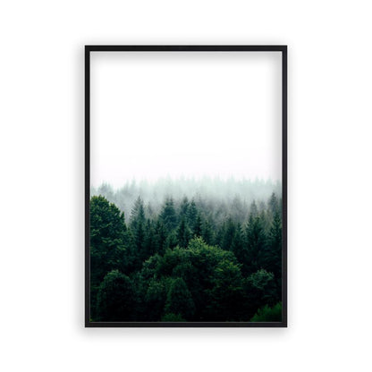Forest Fog Print - Blim & Blum