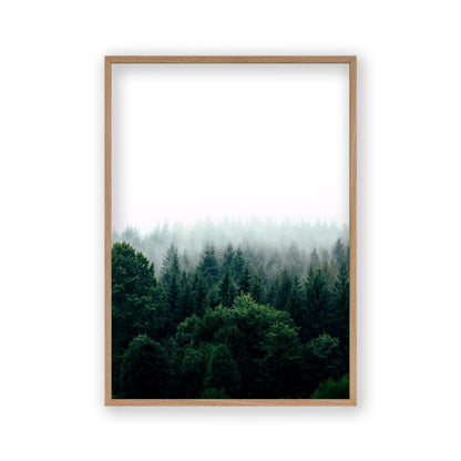 Forest Fog Print - Blim & Blum