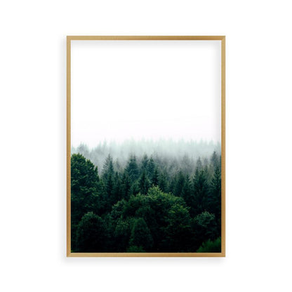 Forest Fog Print - Blim & Blum