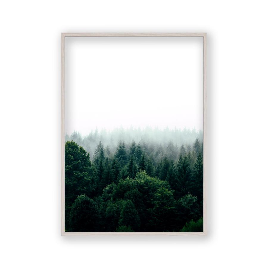 Forest Fog Print - Blim & Blum