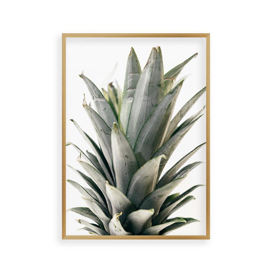 Pineapple Crown Print - Blim & Blum